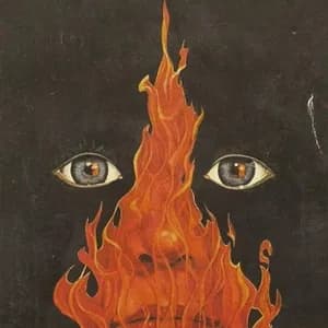 My World Is Burning